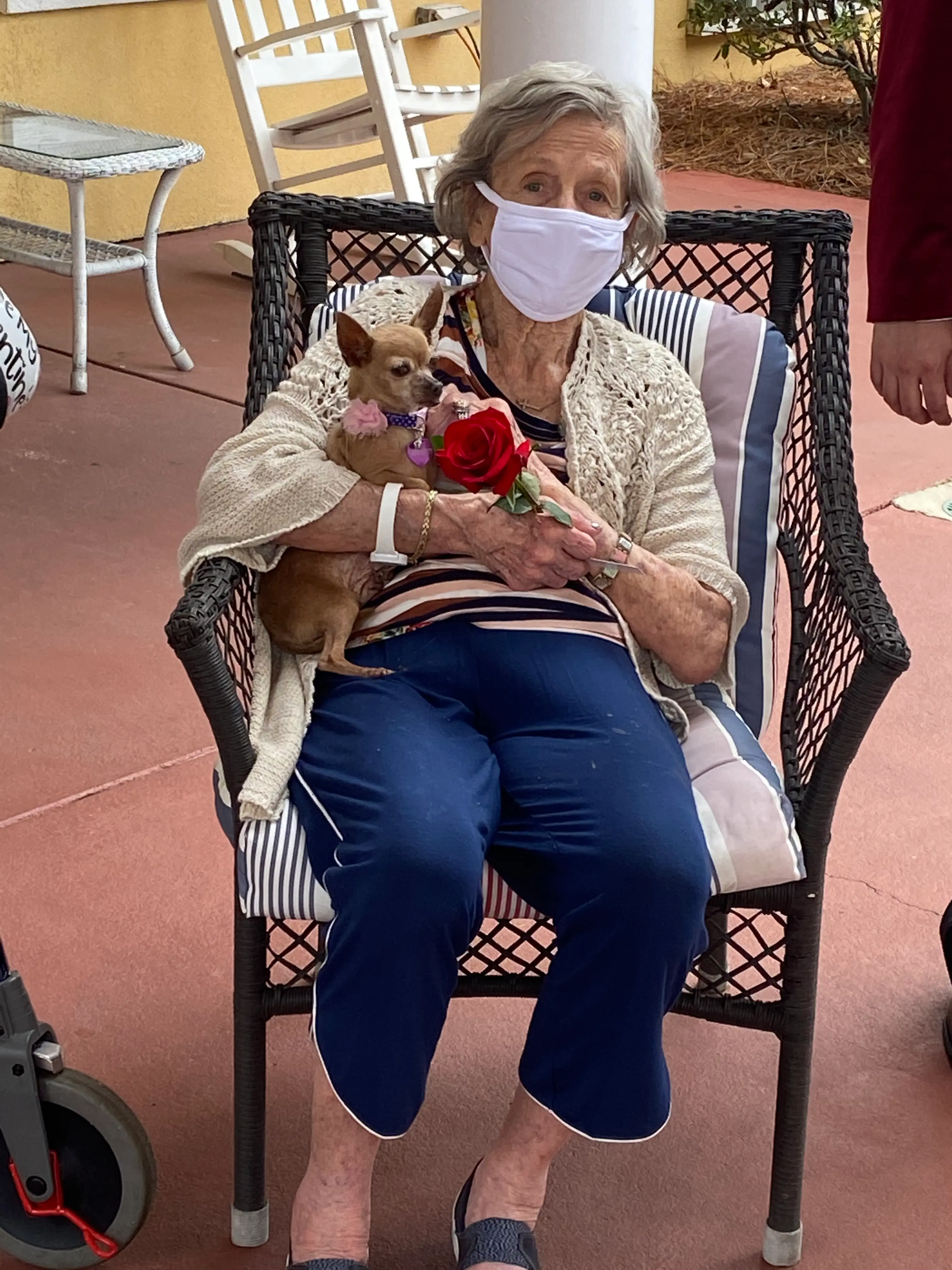 Female client holding a dog in chair while smiling